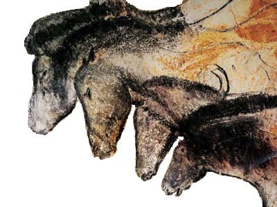 Peintures de la grotte Chauvet